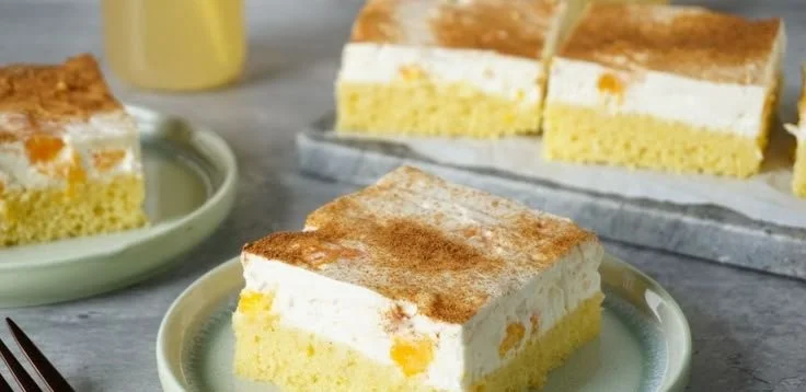 Fantakuchen mit Schmand und Mandarinen auf einem Teller